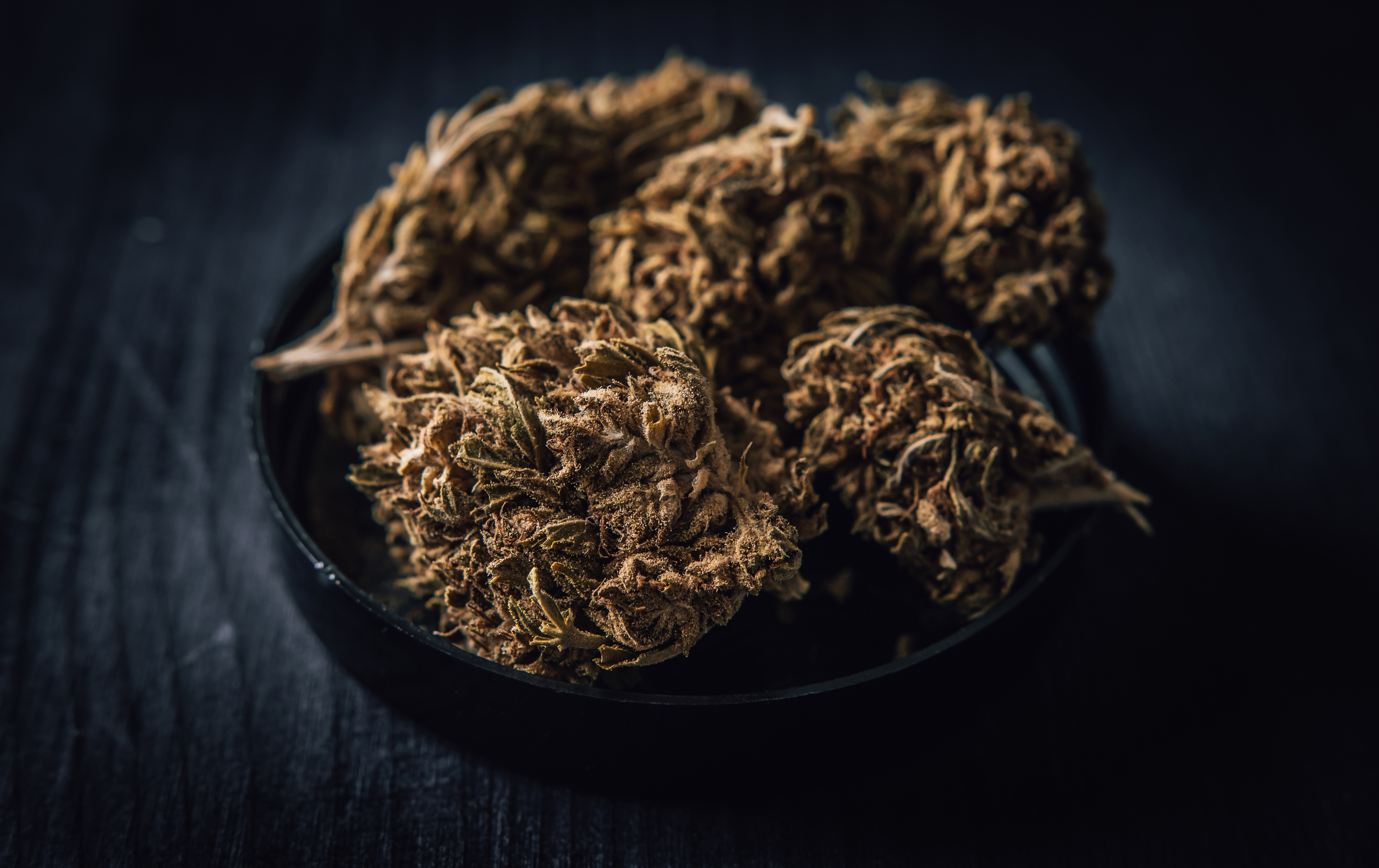 Premium cannabis flower — dramatic close-up on dark background